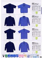 6253 長袖シャツのカタログページ(xebc2008s125)
