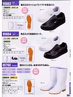 85760 衛生長靴のカタログページ(xebc2008s251)