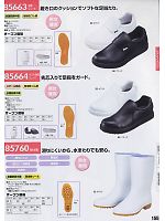 85760 衛生長靴のカタログページ(xebc2009w155)