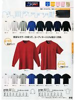 6123 長袖Tシャツのカタログページ(xebc2010w213)