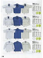 9652 半袖シャツのカタログページ(xebc2011s110)