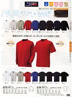6124 半袖Tシャツのカタログページ(xebc2011s235)