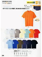 2017 年間物「XEBEC」のカタログ244ページ(xebc2011s244)