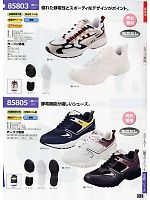 85803 制電スポーツシューズのカタログページ(xebc2011s333)