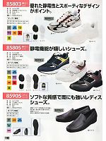 85803 制電スポーツシューズのカタログページ(xebc2011w190)