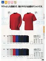 6124 半袖Tシャツのカタログページ(xebc2011w225)