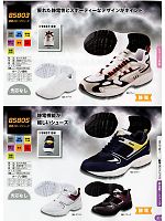 85803 制電スポーツシューズのカタログページ(xebc2012w315)
