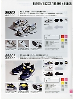 85803 制電スポーツシューズのカタログページ(xebs2019s041)