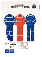 2025 年間物「DON（ドン）」のカタログ31ページ(ymtd2017n031)