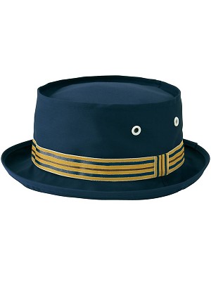 AZ66310 テラピンチテトロン製の関連写真です