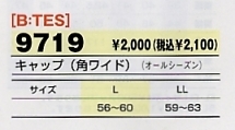 9719 キャップのサイズ画像