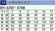 BY5787 レディス長袖シャツのサイズ画像