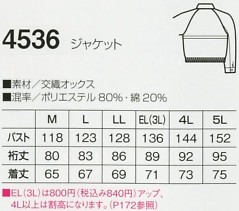4536 ジャケットのサイズ画像