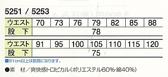 5253 ツータックカーゴパンツのサイズ画像