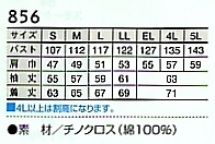 856 ジャケットのサイズ画像