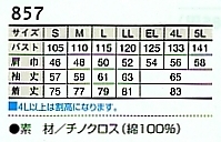 857 長袖シャツのサイズ画像
