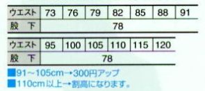 863 ツータックカーゴパンツのサイズ画像