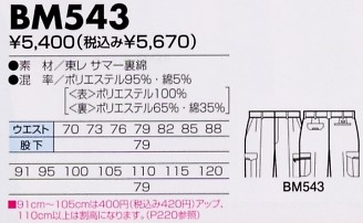 BM543 ツータックカーゴパンツのサイズ画像