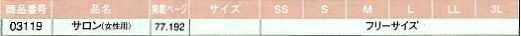 03119 サロンのサイズ画像