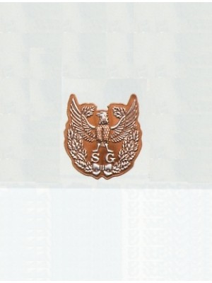 ユニフォーム34 S353 ヘルメット用ステッカー(SG･銀)