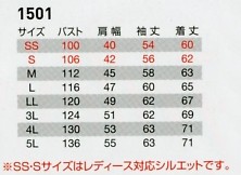 1501 ジャケットのサイズ画像