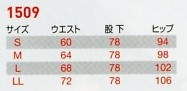 1509 レディースカーゴパンツのサイズ画像