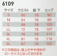 6109 レディースカーゴパンツのサイズ画像