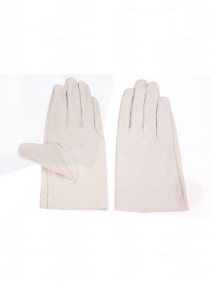 ユニフォーム494 58070200 CX702牛クレスト1P