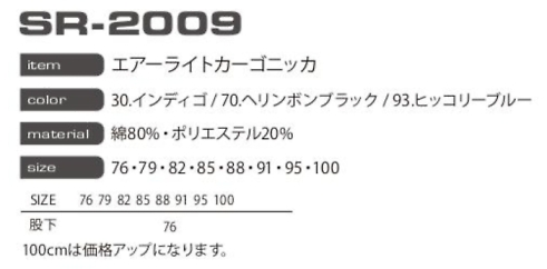 SR2009 カーゴニッカのサイズ画像