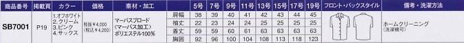 SB7001 ブラウス(廃番)のサイズ画像