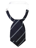 33036 アスコットタイ