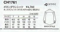 CH1761 レディス長袖シャツのサイズ画像