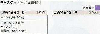 JW4642 キャスケットのサイズ画像