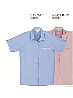 24115 レディース半袖シャツ(春夏物