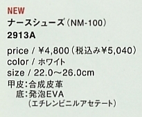 2913A シューズ(NM100)のサイズ画像