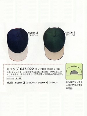 CAZ022 帽子の関連写真です