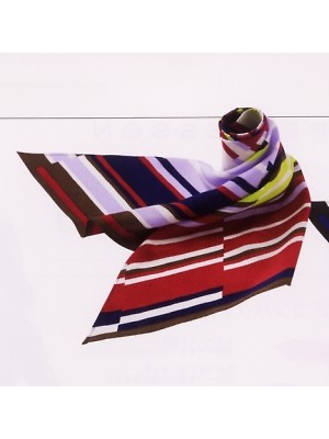 クリックでEAZ282 スカーフのオンラインカタログのページを表示します