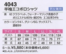 4043 エコポロシャツのサイズ画像