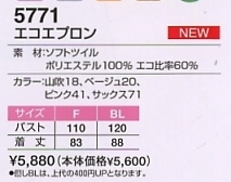 5771 エコエプロン(廃番)のサイズ画像