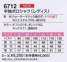 6712 半袖ポロシャツ(レディス)廃のサイズ画像