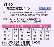 7013 半袖エコポロシャツ(廃番)のサイズ画像