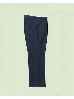 310047 スラックス(16廃番)の関連写真です