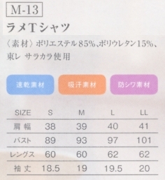 M-13-LL ラメTシャツ(LL)14廃番のサイズ画像