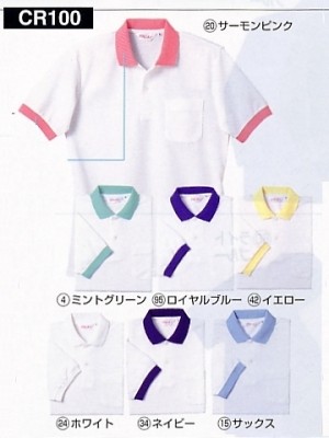 クリックでCR100 半袖ポロシャツのオンラインカタログのページを表示します