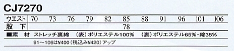 CJ7270 カーゴパンツのサイズ画像