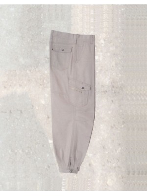 2513 カーゴニッカの関連写真です