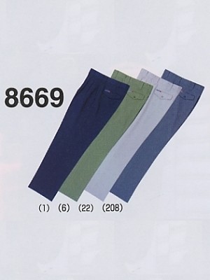 8669 1Pスラックス(16廃番)の関連写真です