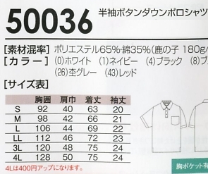 50036 半袖ボタンダウン(14廃番)のサイズ画像