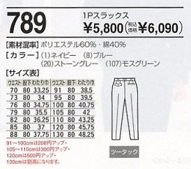 789 1Pスラックス(16廃番)のサイズ画像