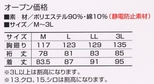 2530-310 ロングトビシャツのサイズ画像